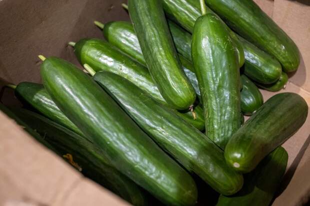 В Госдуме потребовали проверить взлет цен на огурцы в России