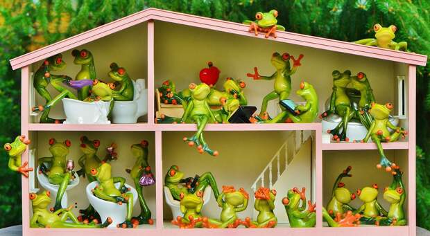 frogs-1382827_1280