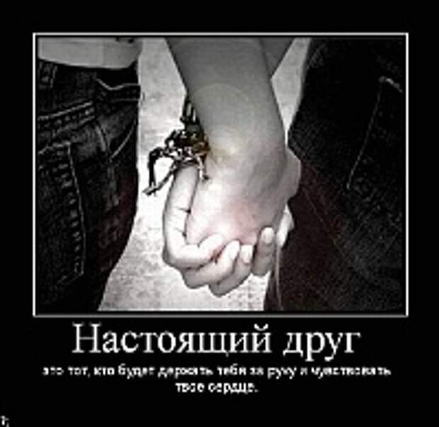 Демотиваторы фото 103