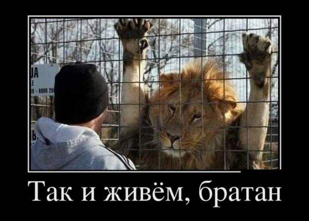 Ревизор оказался недоверчивым и трижды пересчитал взятку