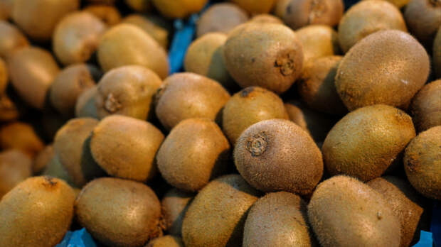 Киви каждый день: чем полезен фрукт и можно ли есть его кожуру