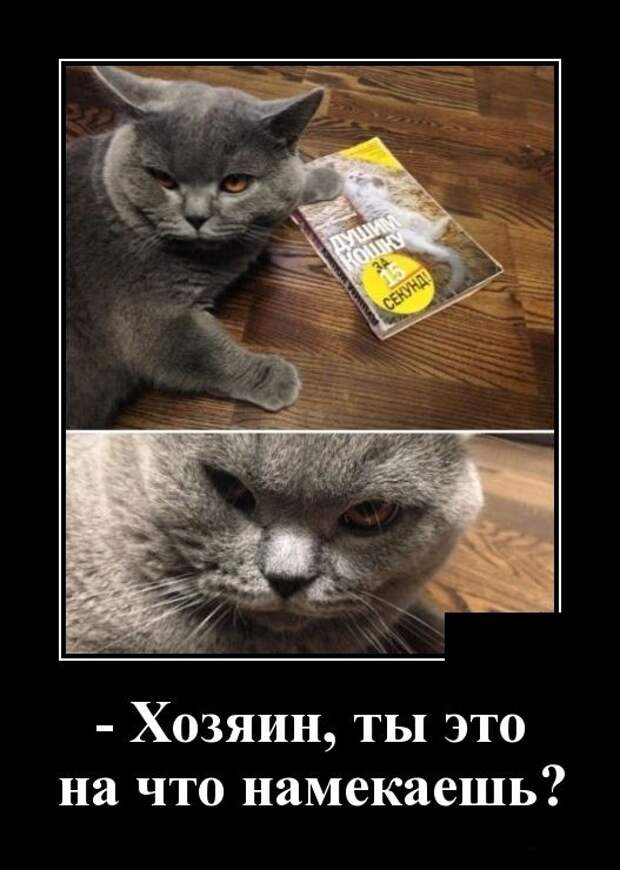 Демотиваторы