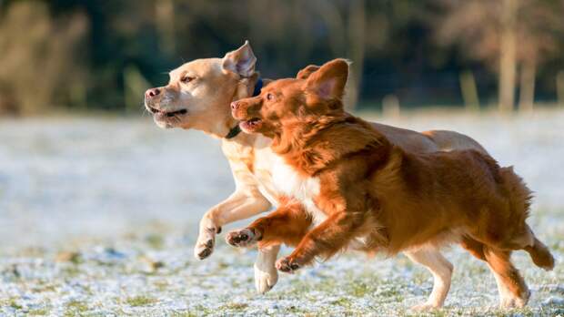 Мы, люди, любим строить из себя всезнаек, хотя на самом деле даже не приоткрыли дверь, ведущую к пониманию окружающего мира. Фото Vincent van Zalinge/Unsplash Мы, люди, любим строить из себя всезнаек, хотя на самом деле даже не приоткрыли дверь, ведущую к пониманию окружающего мира. Фото Vincent van Zalinge/Unsplash