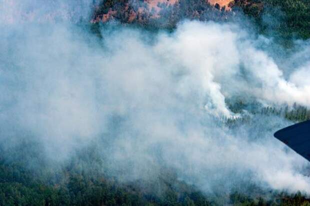 Путин направил Токаеву телеграмму с соболезнованиями в связи с лесными пожарами на востоке Казахстана