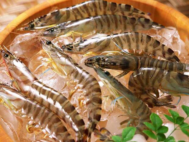 6. Креветки. food06 Как пищевая промышленность подделывает продукты