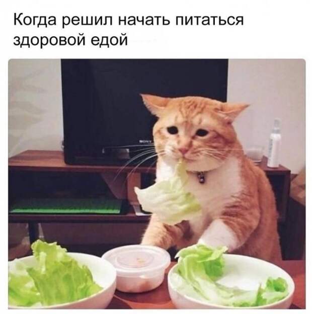 Фото приколы с едой: креативно и забавно