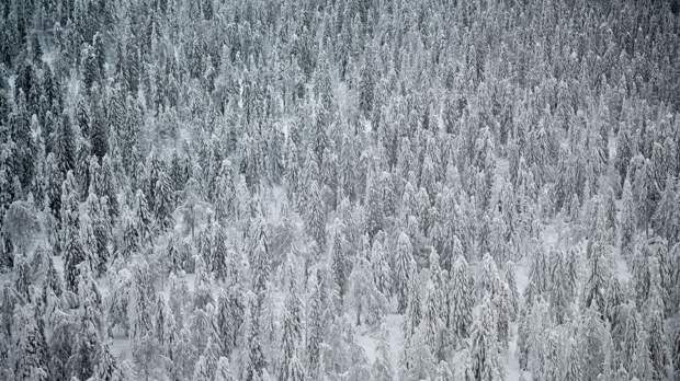 Экс-спецназовец загадочно пропал в красноярской тайге