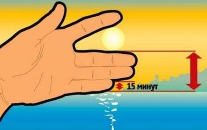 Школьные знания, которые не помешает припомнить.