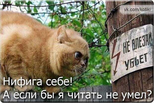 Не ищите здесь смысл. Здесь в основном маразм