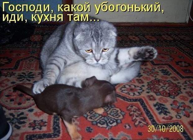 Всяко - разно 19 ))) Всяко - разно 19 )))