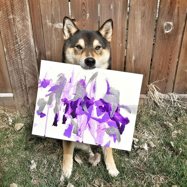 Собака нарисовала и продала картин на сумму 5000 долларов