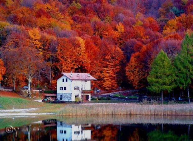 Красивая осень осень, природа, красиво, фото