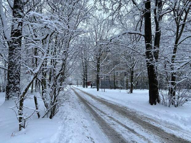 Уровень снега в Петербурге до Нового года может вырасти до семи сантиметров
