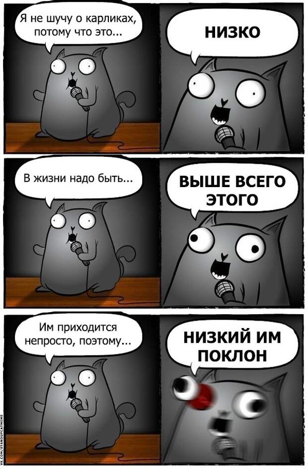 Стендап-кот и его коллекция саркастических комиксов Стендап-кот и его коллекция саркастических комиксов