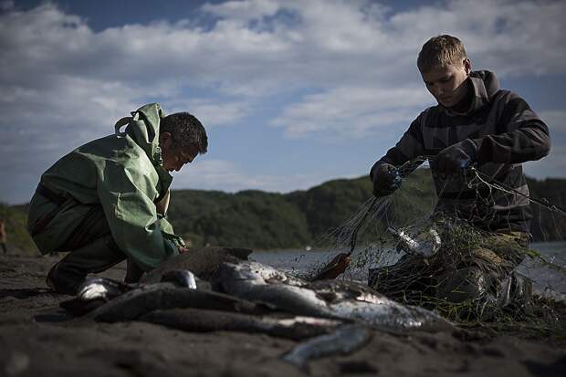 С теми, кто привык ловить рыбу с помощью сетей в правительстве решили не церемониться Фото: Нигина БЕРОЕВА