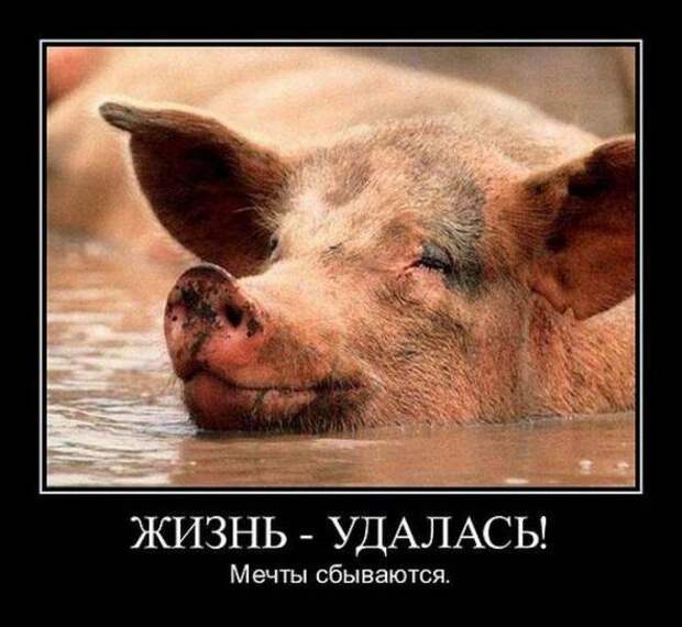 Подборка классных демотиваторов № 107