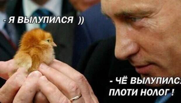 картинка с просторов интернета