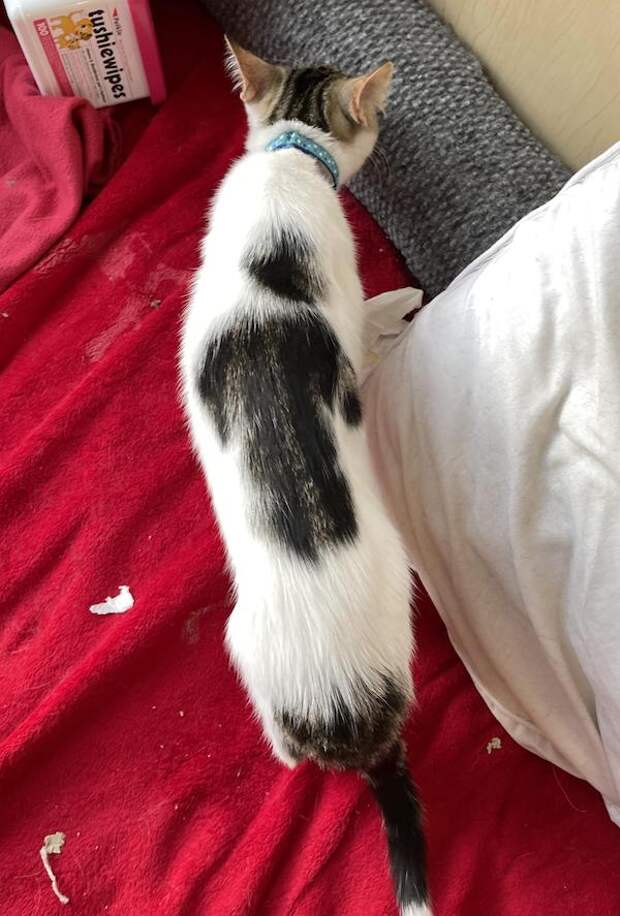 Фотография: 22 странные находки, которые вызвали у людей недоумение №11 - BigPicture.ru