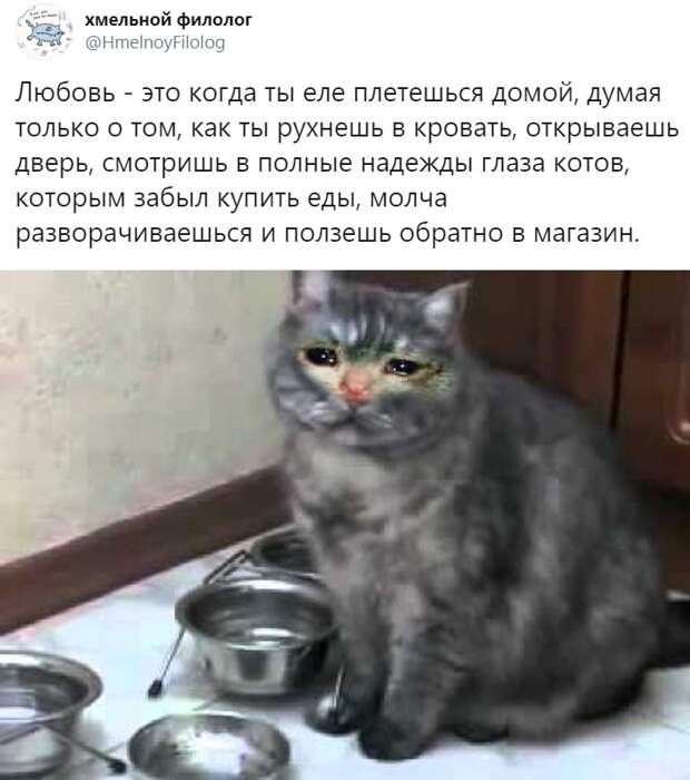 Подборка картинок. Вечерний выпуск (30 фото)