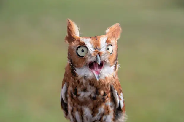 ������������������ �����