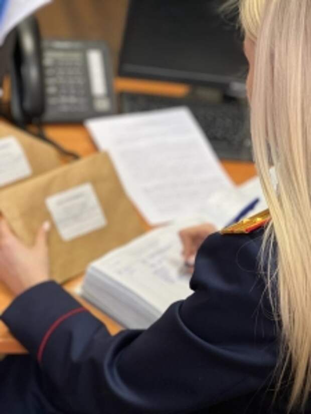 Глава ведомства затребовал доклад о ходе расследования уголовного дела по факту убийства женщины несовершеннолетним в Архангельской области