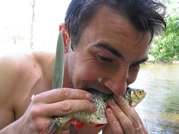 Сыра рыбка вкусна шибко...