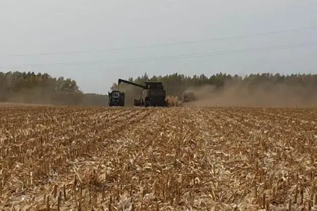 Хозяйства, выжигающие траву на полях, будут лишены господдержки