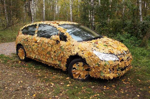 Результат пошуку зображень за запитом "машины в листьях"