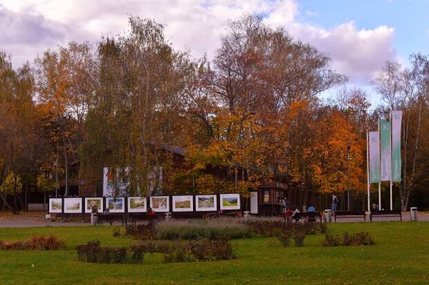 Парк «Кузьминки-Люблино» вошел в пятерку самых красивых для пробежек в Москве
