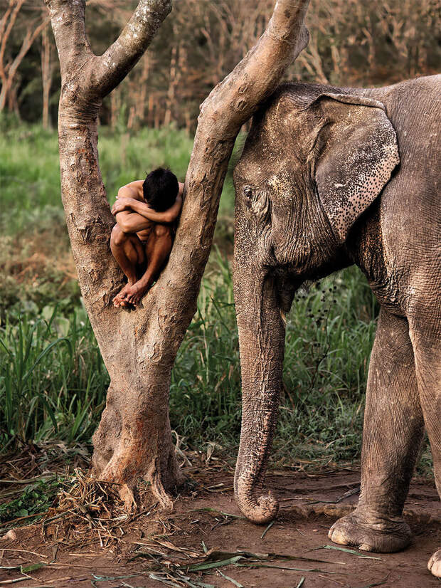Фотограф демонстрирует поразительную связь между людьми и животными по всему миру