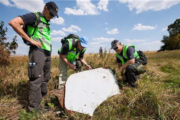 Немецкий детектив обещает пролить свет на подробности крушения «Боинга» MH17