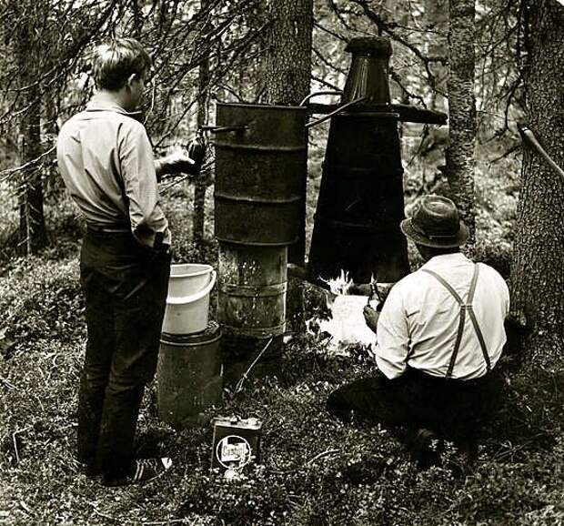 Сухой закон в Финляндии 1919 - Каменный лес Stone Forest