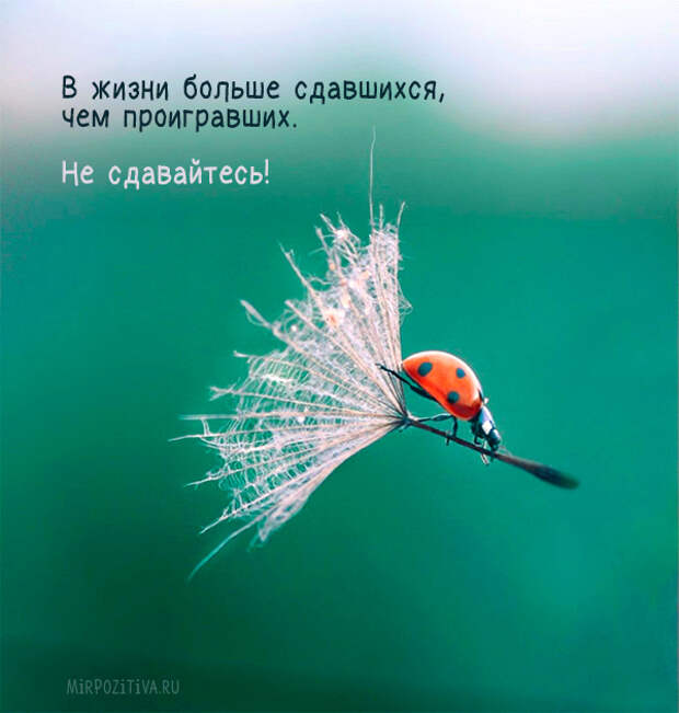 Картинки позитивные Картинки позитивные
