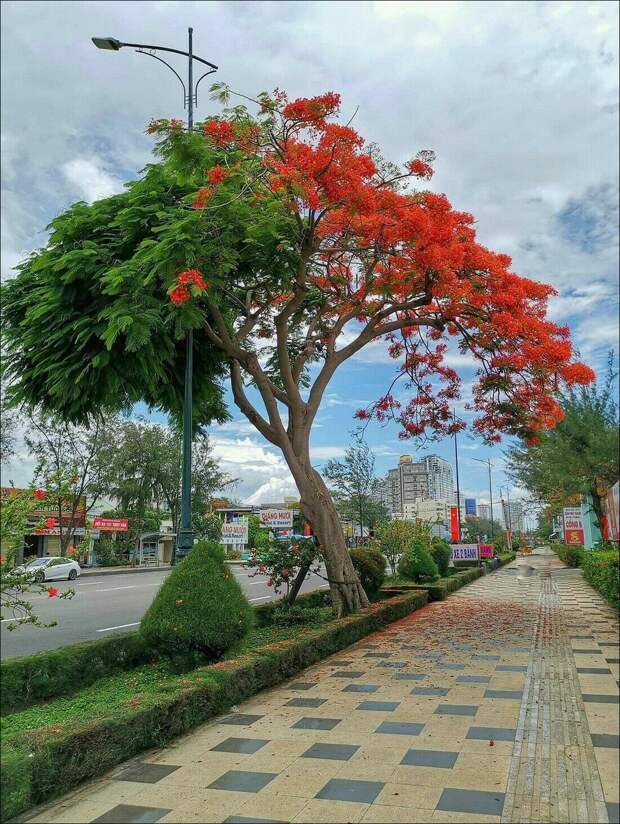 фото приколы
