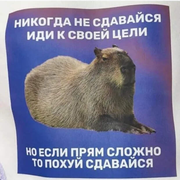 Ура, выходные! Время для смеха и позитива!