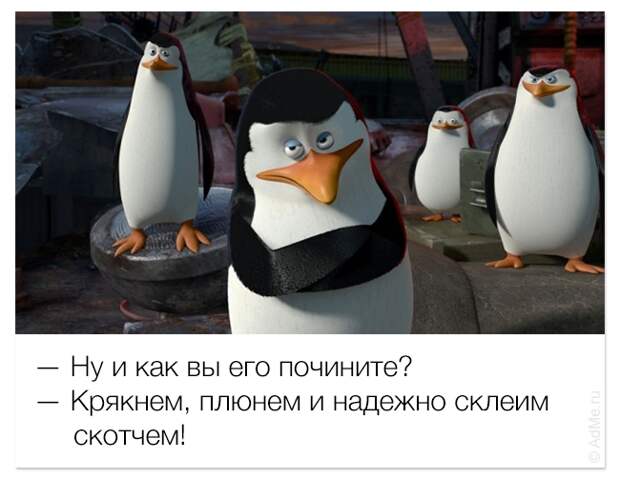 смешные цитаты из мультфильмов, фразы мультфильмы
