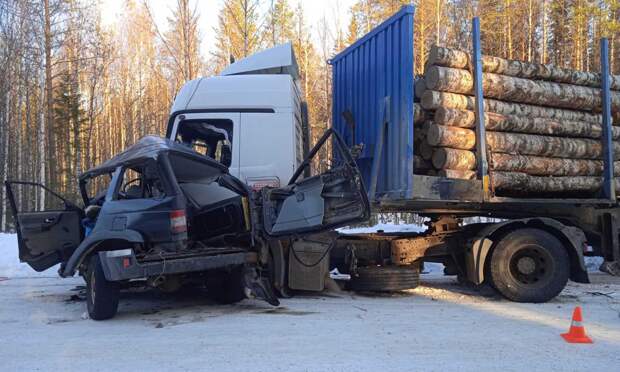 В Холмогорском районе в ДТП погибли двое жителей Архангельска