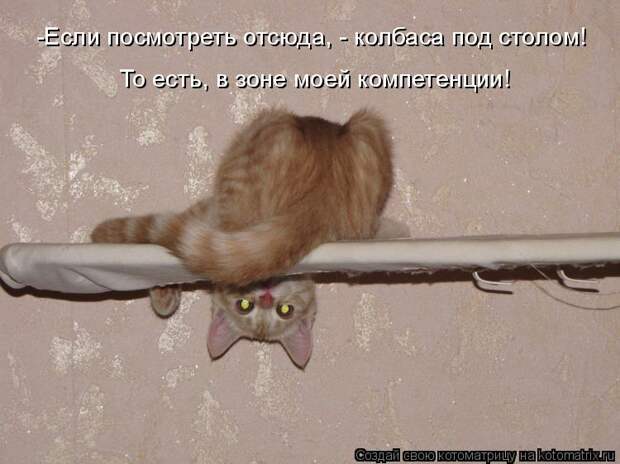 Котоматрица - -Если посмотреть отсюда, - колбаса под столом! То есть, в зоне моей ко