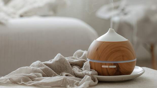 Как выбрать увлажнитель воздуха: гид по здоровому микроклимату дома