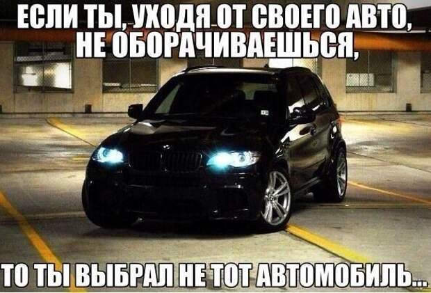 Автомобильные приколы Писца