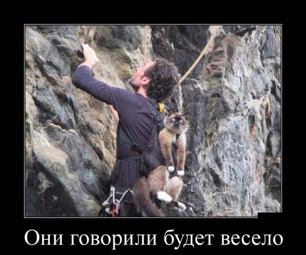 Свежие и веселые демотиваторы со смыслом (10 фото)