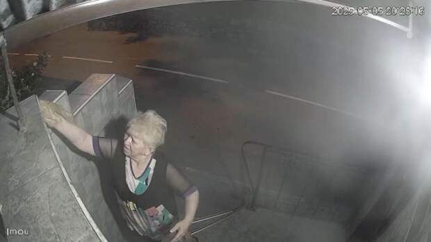 В Ялте пожилая женщина раздаёт яд бездомным животным