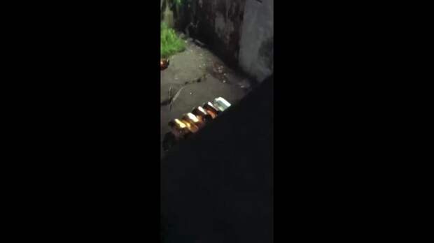Video: Клип @donetskdnr_vk