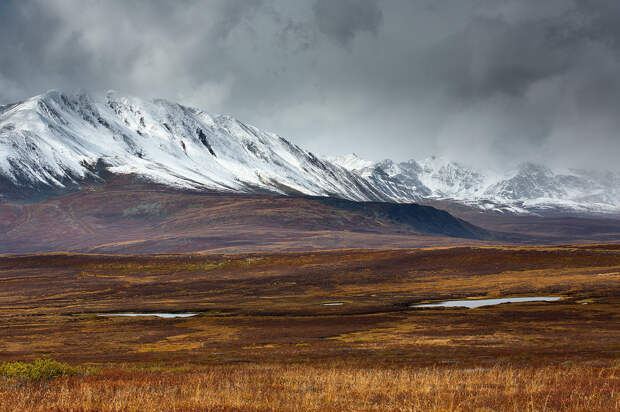 Колымское нагорье фото