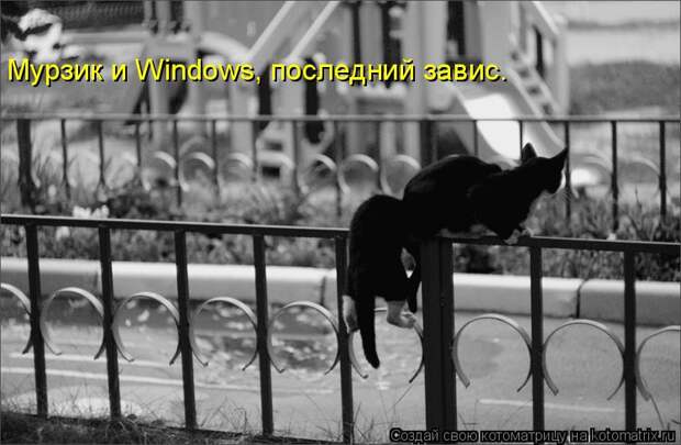 Мурзик и Windows, последний завис.
