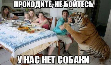 Фразы в картинках. Супер!