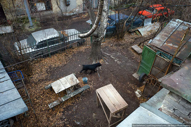 Сосед президента