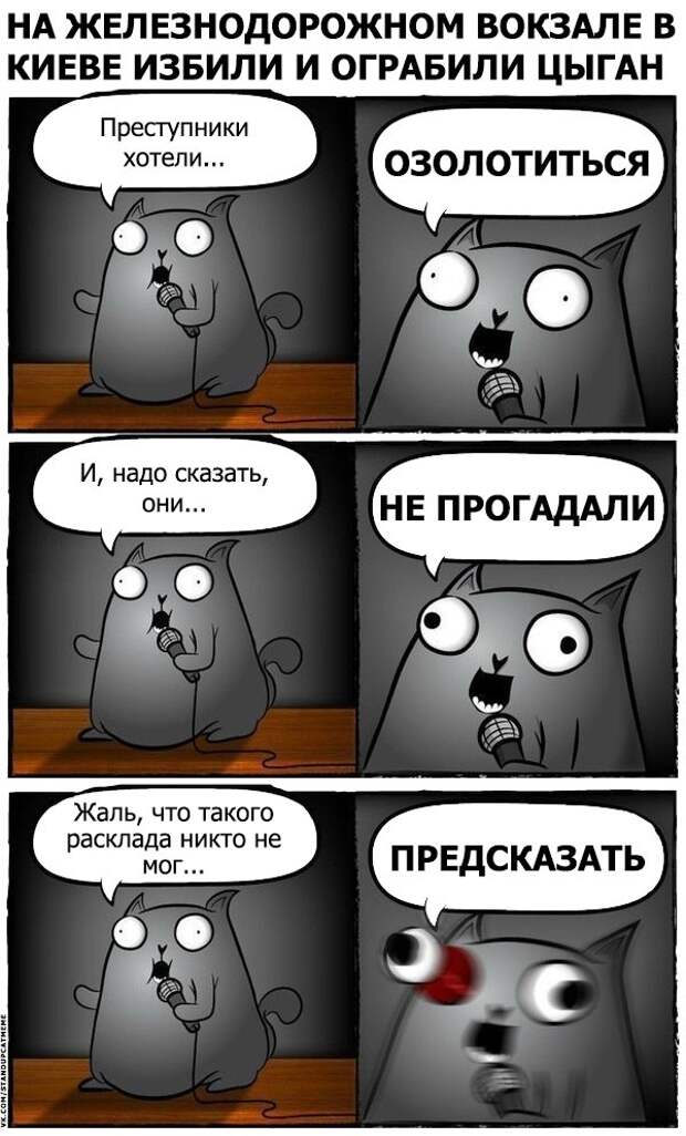 Стендап-кот и его коллекция саркастических комиксов Стендап-кот и его коллекция саркастических комиксов