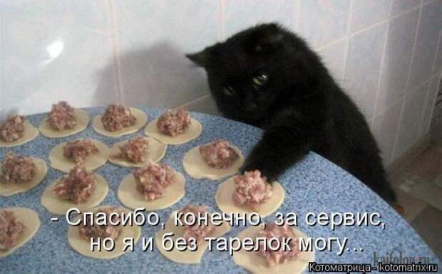 Котоматрицы(картинки с надписями)