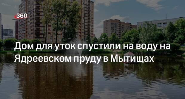 Дом для уток спустили на воду на Ядреевском пруду в Мытищах